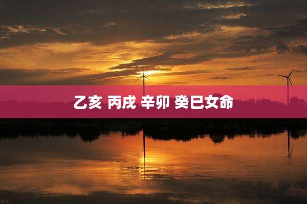 乙亥 丙戌 辛卯 癸巳女命