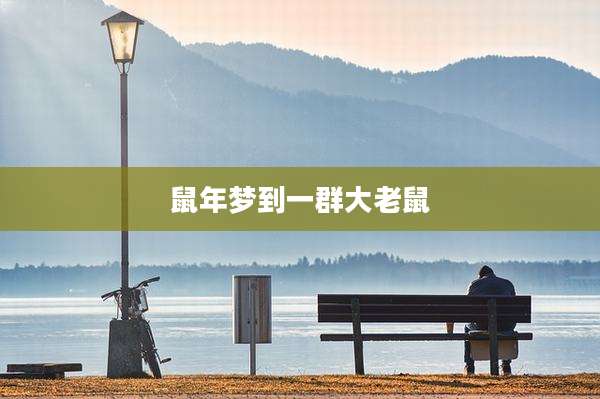 鼠年梦到一群大老鼠