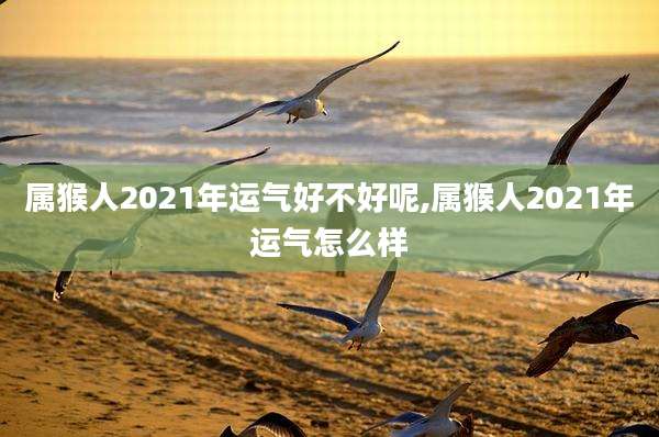 属猴人2021年运气好不好呢,属猴人2021年运气怎么样