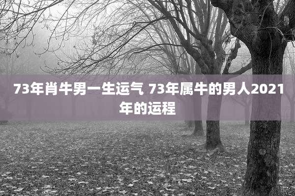 73年肖牛男一生运气 73年属牛的男人2021年的运程