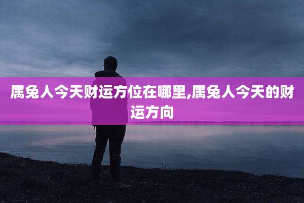 属兔人今天财运方位在哪里,属兔人今天的财运方向