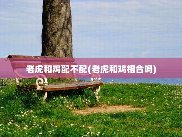 老虎和鸡配不配(老虎和鸡相合吗)