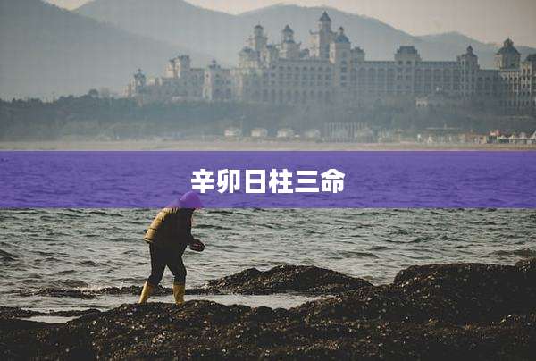 辛卯日柱三命