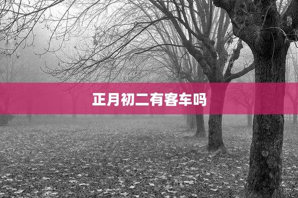 正月初二有客车吗