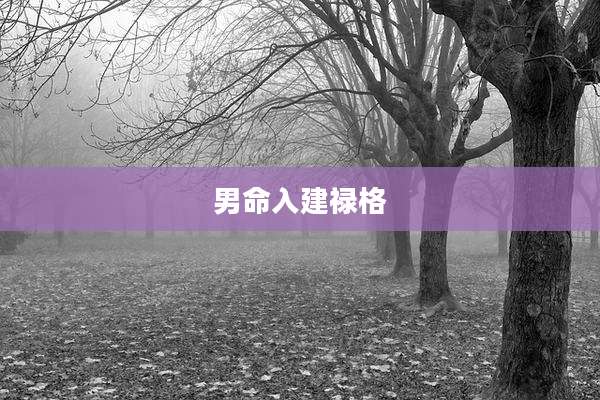 男命入建禄格