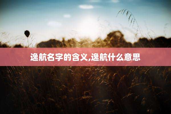 逸航名字的含义,逸航什么意思