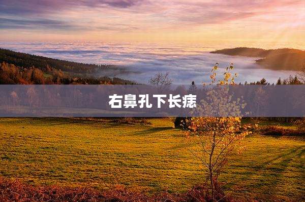 右鼻孔下长痣