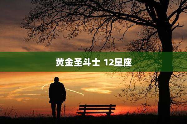 黄金圣斗士 12星座