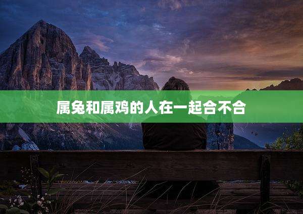 属兔和属鸡的人在一起合不合