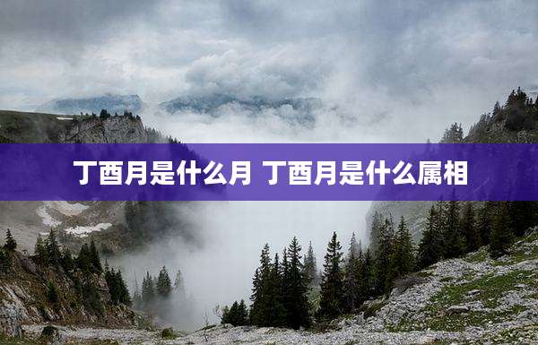 丁酉月是什么月 丁酉月是什么属相