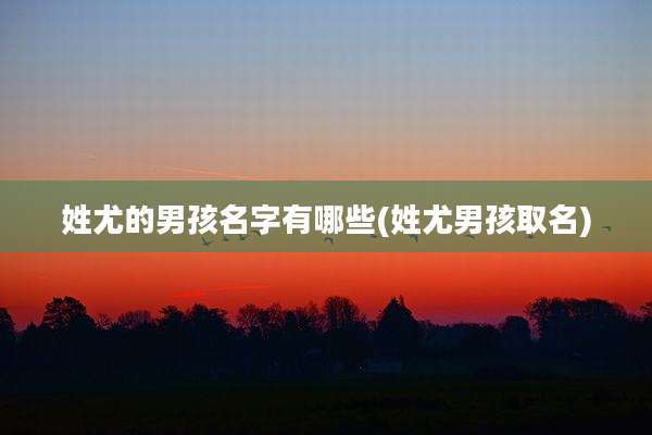 姓尤的男孩名字有哪些(姓尤男孩取名)