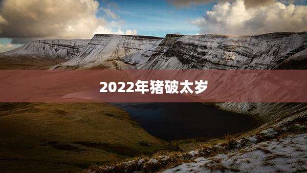 2022年猪破太岁