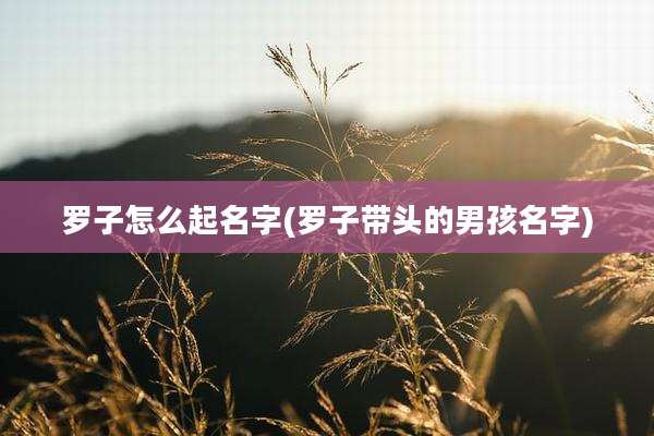罗子怎么起名字(罗子带头的男孩名字)