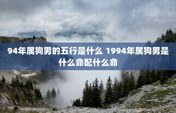 94年属狗男的五行是什么 1994年属狗男是什么命配什么命