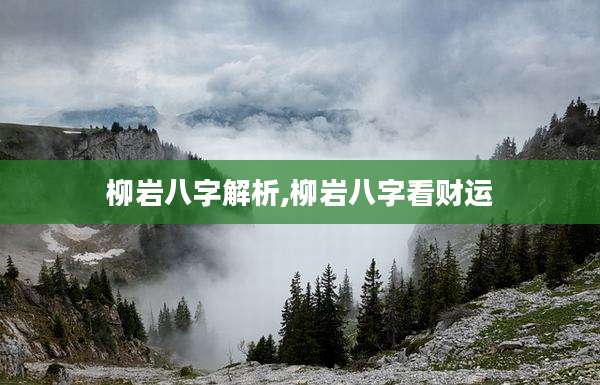 柳岩八字解析,柳岩八字看财运
