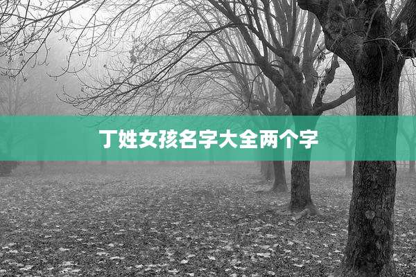 丁姓女孩名字大全两个字