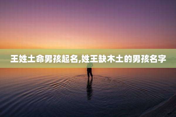 王姓土命男孩起名,姓王缺木土的男孩名字