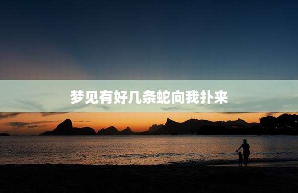 梦见有好几条蛇向我扑来