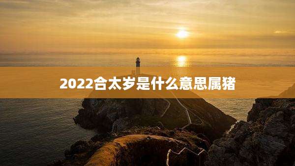 2022合太岁是什么意思属猪
