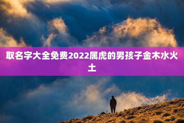 取名字大全免费2022属虎的男孩子金木水火土
