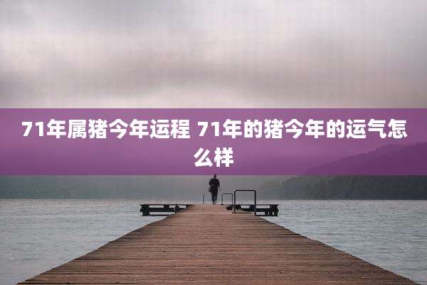 71年属猪今年运程 71年的猪今年的运气怎么样