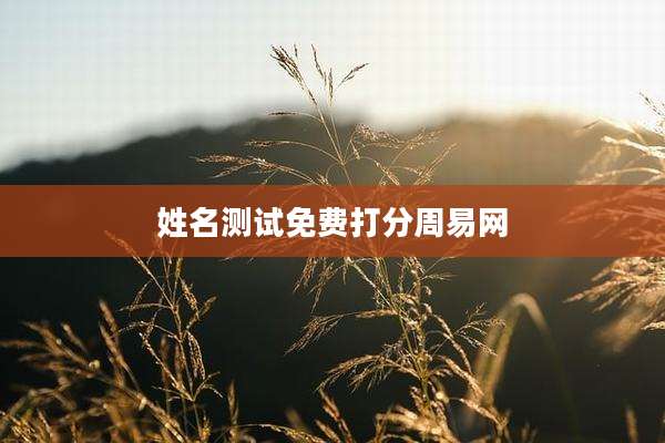 姓名测试免费打分周易网