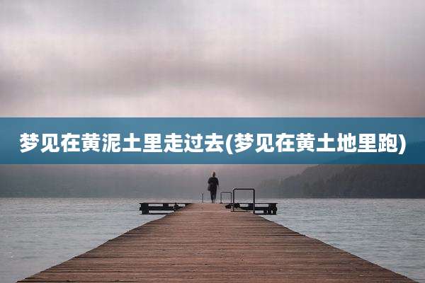 梦见在黄泥土里走过去(梦见在黄土地里跑)