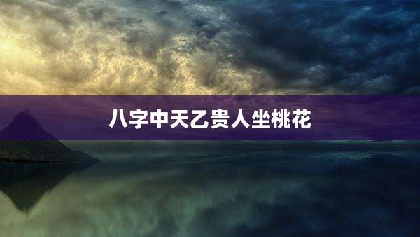 八字中天乙贵人坐桃花