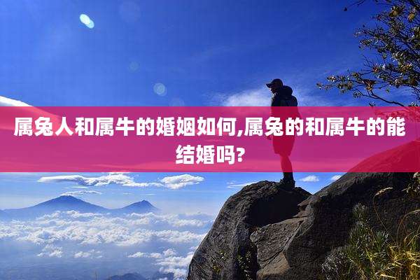 属兔人和属牛的婚姻如何,属兔的和属牛的能结婚吗?