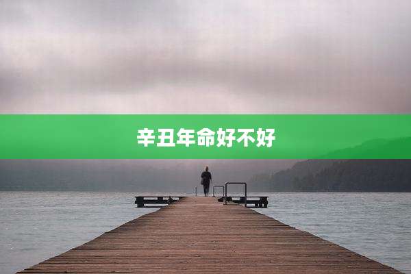 辛丑年命好不好