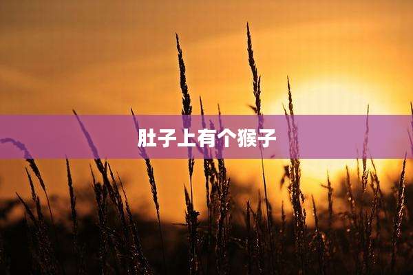 肚子上有个猴子
