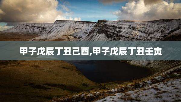甲子戊辰丁丑己酉,甲子戊辰丁丑壬寅