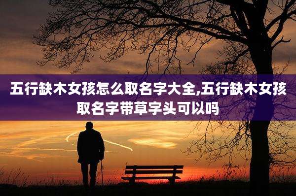五行缺木女孩怎么取名字大全,五行缺木女孩取名字带草字头可以吗