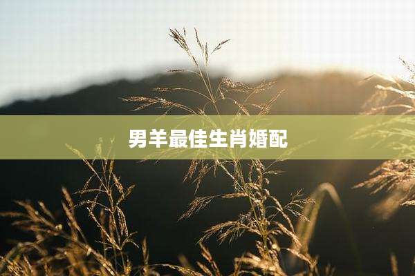 男羊最佳生肖婚配