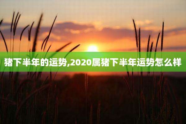 猪下半年的运势,2020属猪下半年运势怎么样