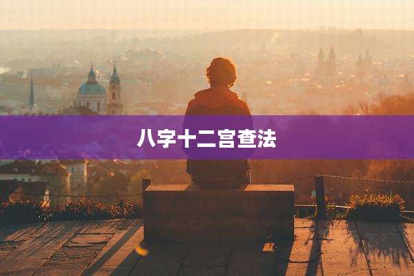 八字十二宫查法