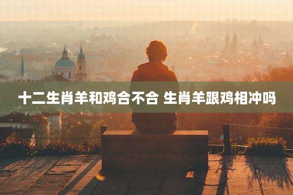 十二生肖羊和鸡合不合 生肖羊跟鸡相冲吗
