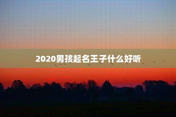 2020男孩起名王子什么好听