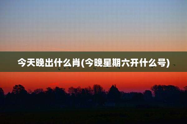 今天晚出什么肖(今晚星期六开什么号)