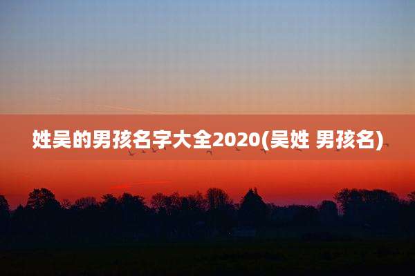 姓吴的男孩名字大全2020(吴姓 男孩名)