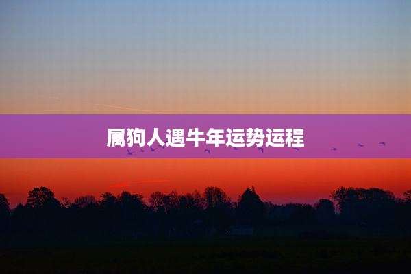 属狗人遇牛年运势运程