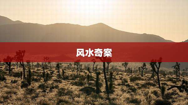 风水奇案