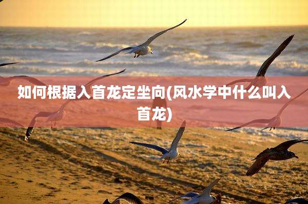 如何根据入首龙定坐向(风水学中什么叫入首龙)