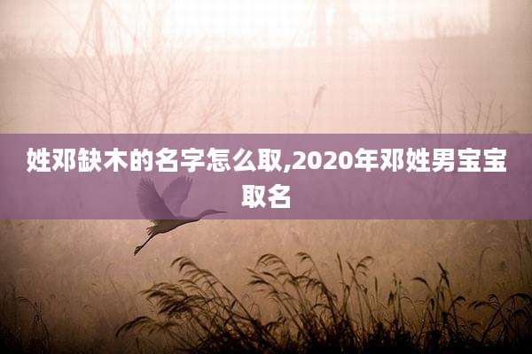 姓邓缺木的名字怎么取,2020年邓姓男宝宝取名
