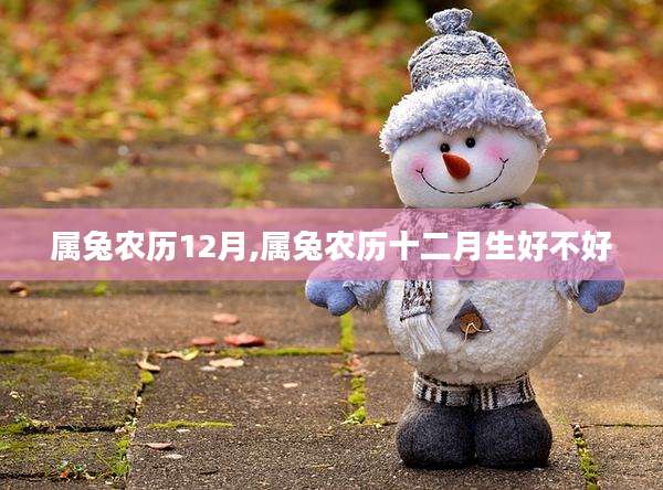 属兔农历12月,属兔农历十二月生好不好