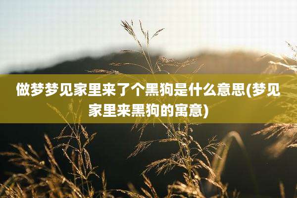 做梦梦见家里来了个黑狗是什么意思(梦见家里来黑狗的寓意)