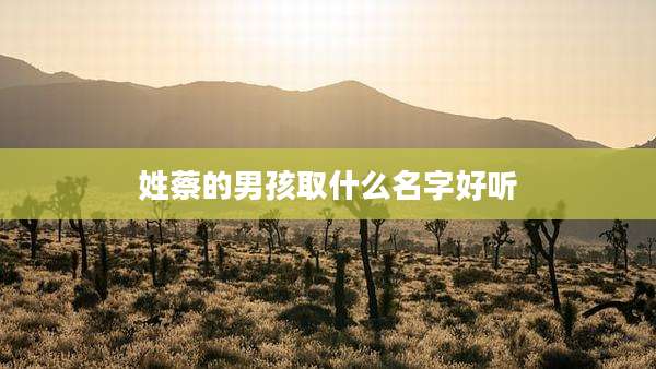 姓蔡的男孩取什么名字好听