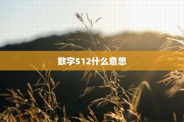 数字512什么意思