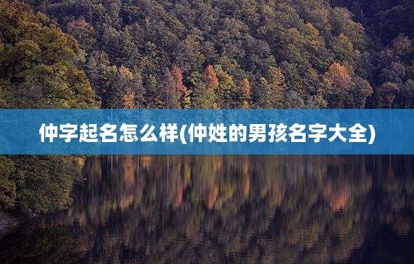 仲字起名怎么样(仲姓的男孩名字大全)