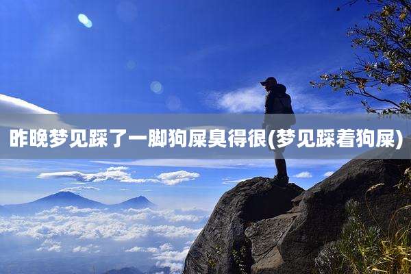 昨晚梦见踩了一脚狗屎臭得很(梦见踩着狗屎)